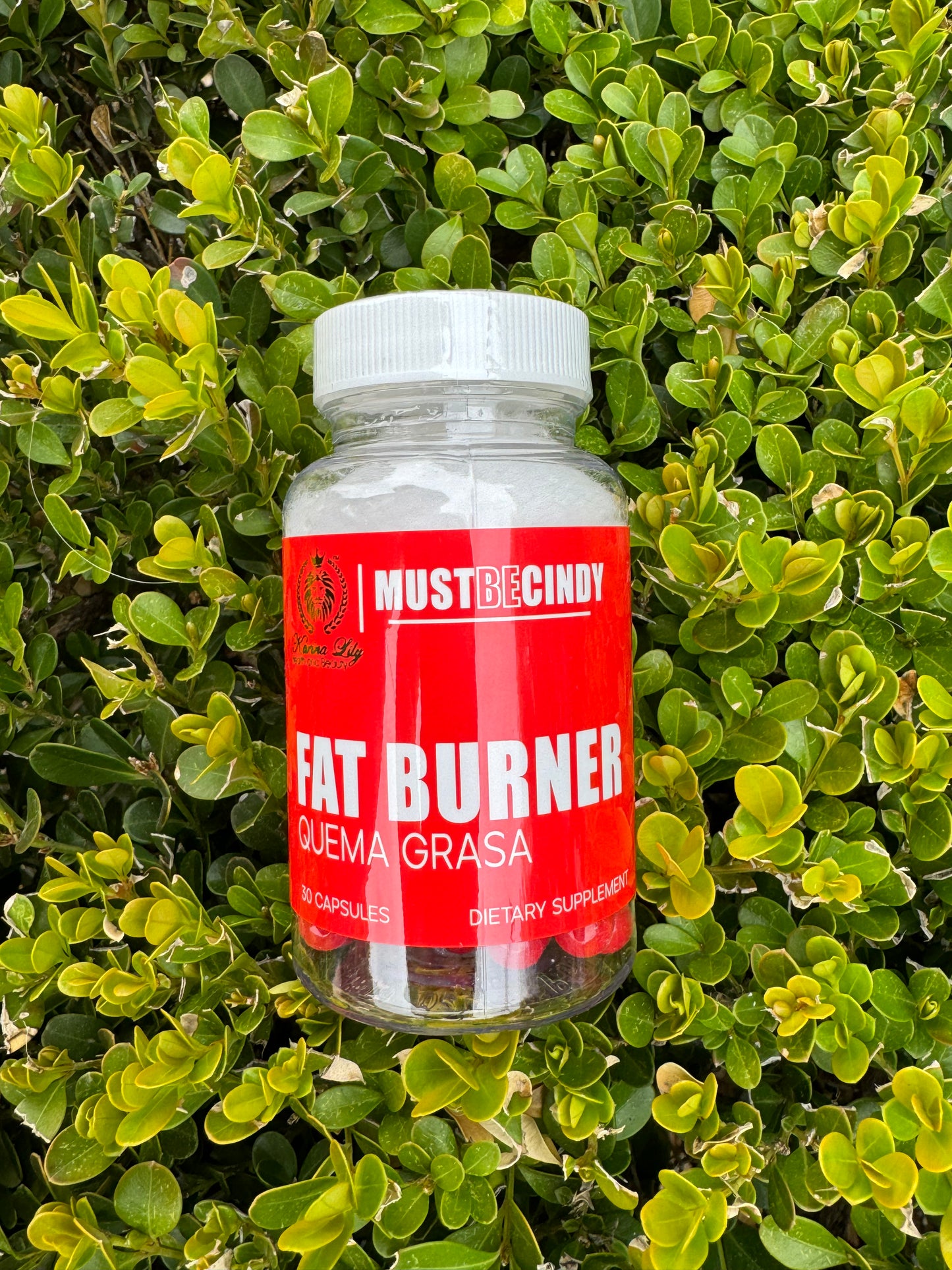 Fat Burner Quema Grasa (Capsules)